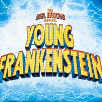Online YOUNG FRANKENSTEIN Launches This Weekend