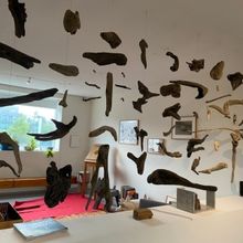 Celebra El Museo De Arte Carrillo Gil El Día Internacional De Los Museos Con Dos Nue