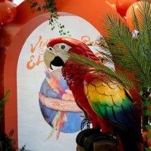 TEXAS TROPICS Pop-Up Gallery Opens at The Aiden