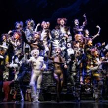 CATS Will Return to the Fabulous Fox Theatre This December