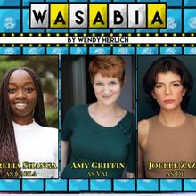 Centenary Stage Announces Cast For World Premiere Of Wendy Herlich's New Play WASABIA