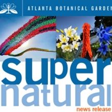 Garden Presents SUPERnatural Sculpture Exhibit This Spring!
