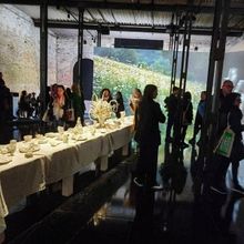 Representa A México En La Bienal De Venecia La Videoinstalación Nos Marchábamos, R