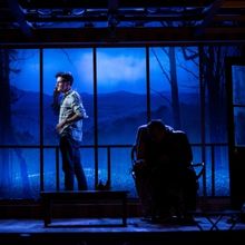 Review: FEVER DREAMS (OF ANIMALS ON THE VERGE OF EXTINCTION) at the Contemporary Amer