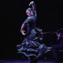 Frankin Stage Company to Present Flamenco Vivo Carlota Santana at Chapel Hall This Mo