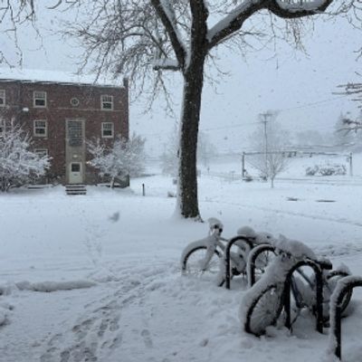 Student Blog: Back to Business: My Second Semester