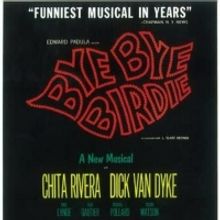 BYE BYE BIRDIE y los musicales rock