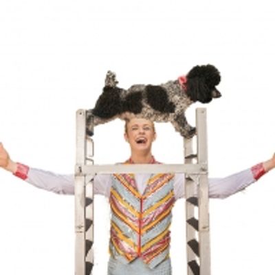 PUPPY PALS - THE COMEDIC STUNT DOG SHOW Bounds Into Boca Raton & Delray Beach In September!