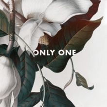 KRANE Crafts a World-Class Soundscape on 'Only One'