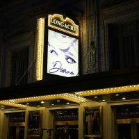 VIDEO: On the Opening Night Red Carpet for DIANA- Watch Now!