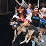 Video: Cue the Puppies! Behind the Scenes at Broadway Barks 2026