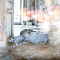 ARIODANTE Begins Performances At Bolshoi Theatre