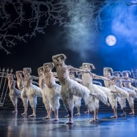 BWW Review: Matthew Bourne's SWAN LAKE a Joyful Holiday Treat