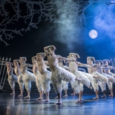 BWW Review: Matthew Bourne's SWAN LAKE a Joyful Holiday Treat
