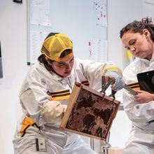 Review: THE APIARY at Urbanite Theatre