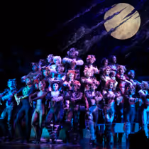 Feature: So...What is CATS Even About? A Character Guide to CATS THE MUSICAL