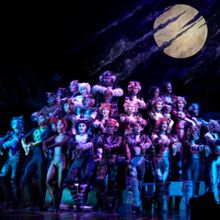 Feature: So...What is CATS Even About? A Character Guide to CATS THE MUSICAL