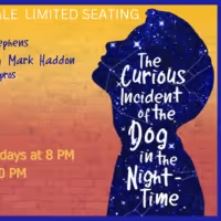 THE CURIOUS INCIDENT OF THE DOG IN THE NIGHT-TIME to be Presented at Generic Theater…