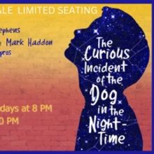 THE CURIOUS INCIDENT OF THE DOG IN THE NIGHT-TIME to be Presented at Generic Theater 