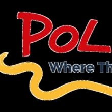 Polka Theatre Will Present ADVENTURE THE PIRATE, THE PRINCESS, AND THE PLATYPUS in Ju