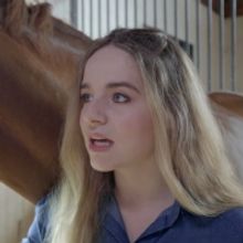 Vision Films Rides Into The New Year With Equestrian Film HOPE'S LEGACY