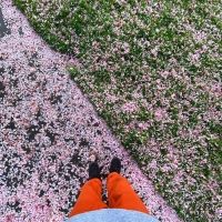 sadeyes Releases Lofi EP 'downpour II'