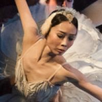 Celebrarán El 145 Aniversario Del Estreno De El Lago De Los Cisnes Con Transmisión…