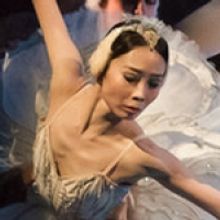 Celebrarán El 145 Aniversario Del Estreno De El Lago De Los Cisnes Con Transmisión 