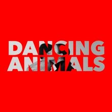Nervous Theatre Premieres New Work DANCING ANIMALS At The Southern Theater