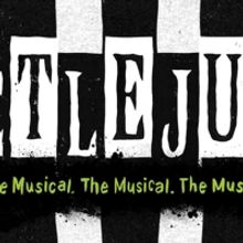 Disney's ALADDIN and BEETLEJUICE Announced For Washington Pavilion 25th Broadway Seas