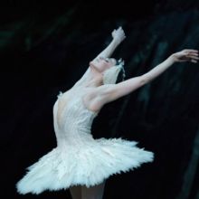 World Renowned Ballet Star Natalia Osipova Comes To Australia Next Month
