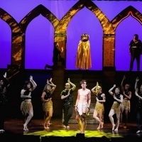 JOSEPH AND THE AMAZING TECHNICOLOR DREAMCOAT at Axelrod Inspires Theatregoers