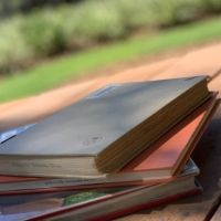 BWW Blog: Expanding My Horizons