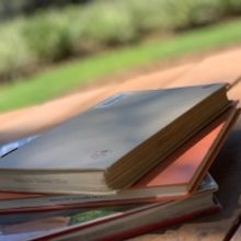 BWW Blog: Expanding My Horizons