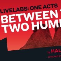 Peppermint, Portia, Noah Robbins, and Kara Young Will Star in MCC Theater's BETWEEN…
