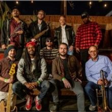 Honey Made to Perform Live At The Far Out Lounge