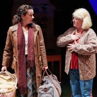 BWW Review: MY MOTHER SAID I NEVER SHOULD, Crucible Studio, Sheffield Photo