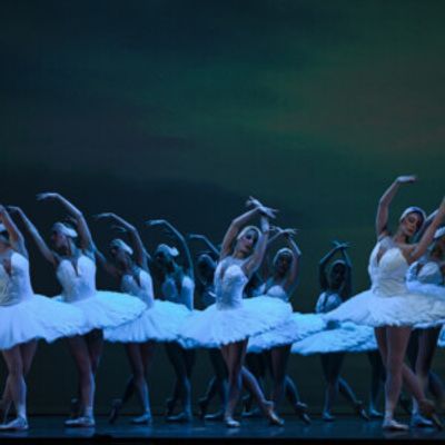Ballet Rhode Island to Add Faculty Ahead of 50th Anniversary