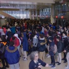 TV: Check Out Footage From TO KILL A MOCKINGBIRD at Madison Square Garden