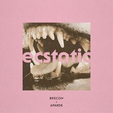 Brecon Releases Four Track Collaborative EP On With Bells Records