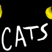 CATS at North Charleston Performing Arts Center Has Been Postponed
