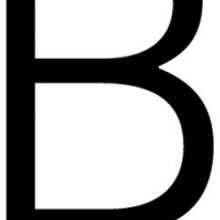 DELPHINE'S PRAYERS, DUELLE, CHAMELEON STREET and More Come to BAM