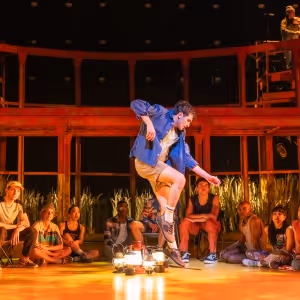 ILLINOISE Now Available the Watch at the Library for the Performing Arts