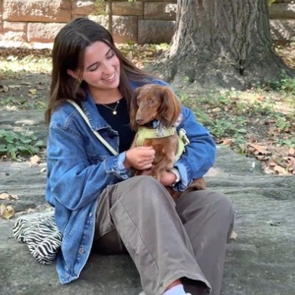 Video: Sarah Agrusa Cuddles up with Her Broadway Pet, Ollie Photo