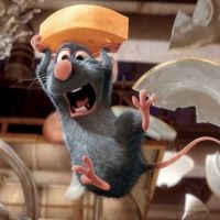 BWW Blog: Could TikTok Be The Future of Musical Theatre?