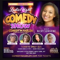 Comic Nicky Sunshine Hosts Ladies Night Showcase at Comedy In Harlem