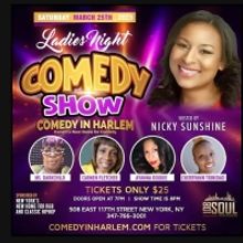 Comic Nicky Sunshine Hosts Ladies Night Showcase at Comedy In Harlem