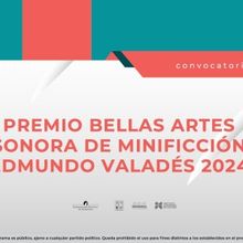 Abren La Convocatoria Del Premio Bellas Artes Sonora De Minificción Edmundo Valadés