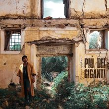 Interview: GIORGIO ADAMO - PIU' DEI GIGANTI