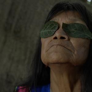 THE HUMMINGBIRD PAINTS FRAGRANT SONGS to Open DOC NYC 2026